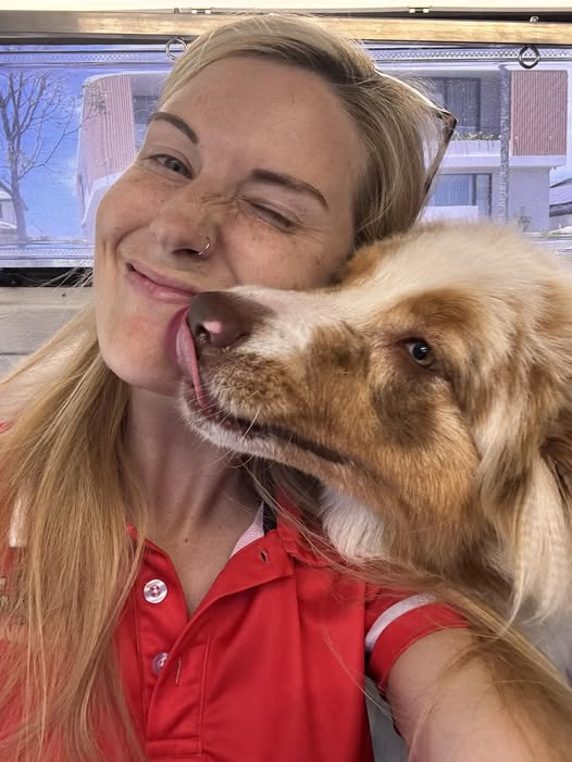 🐶💼 From Paycheque to Puppy Profits: Why More Kiwis Are Choosing Jim’s Dog Wash in 2026