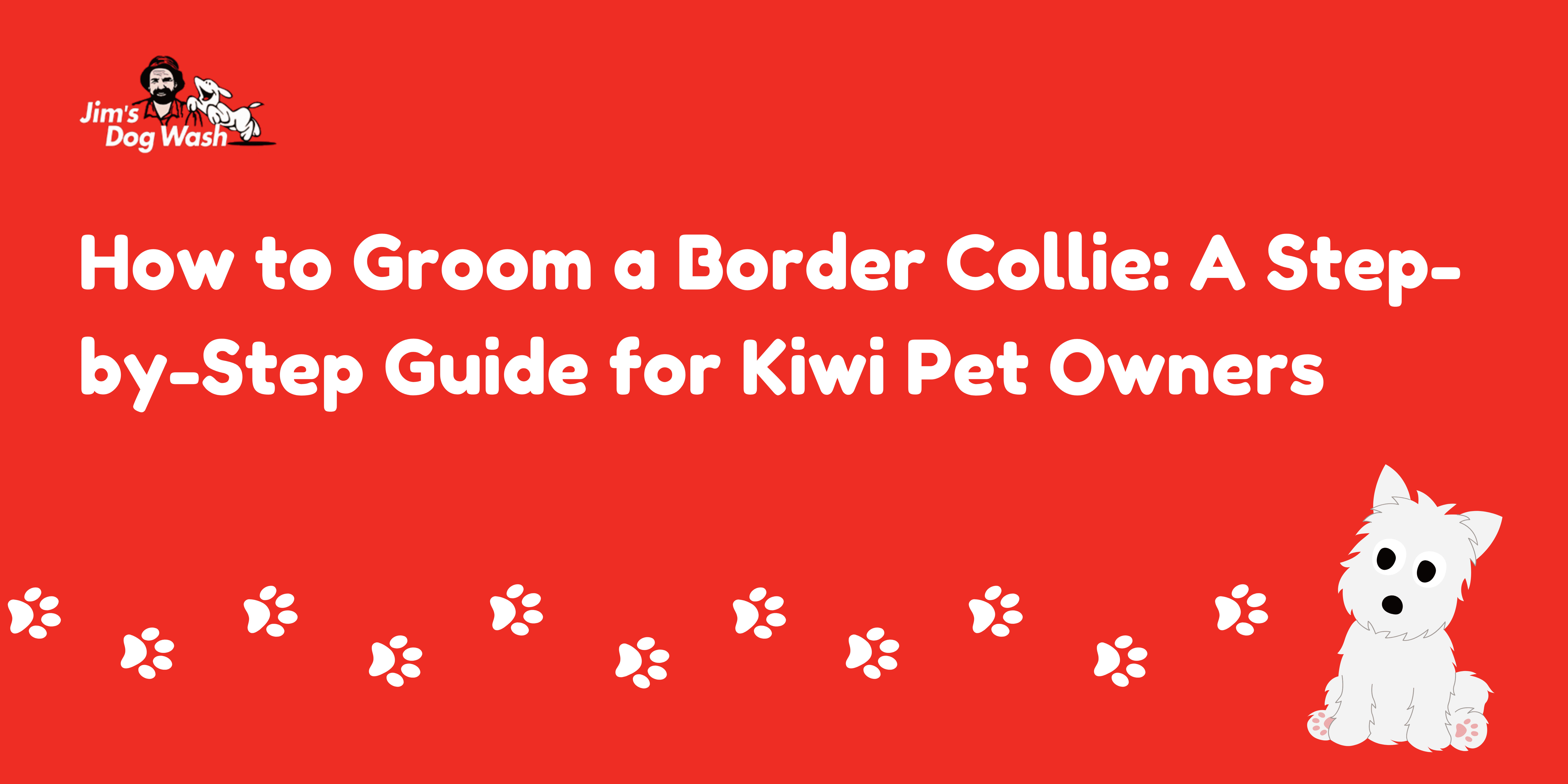 How to Groom a Border Collie: A Step-by-Step Guide for Kiwi Pet Owners