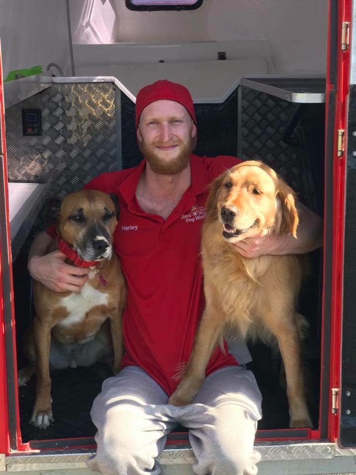 How to Avoid Losing Your Dog: Simple Steps Every Owner Should Know