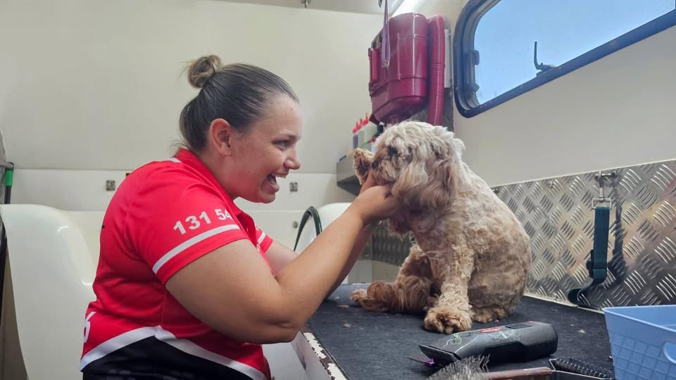How to Cut Your Dog’s Nails Safely: A Complete Guide